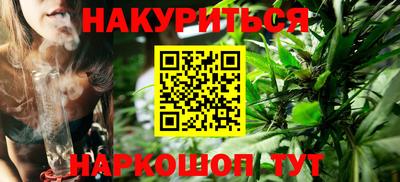 гидропоника Сланцы