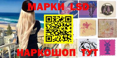 гидропоника Сланцы